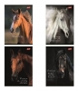 Zeszyt A5/60k kratka Wild Heart, 1 szt