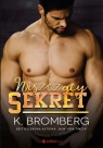 Niszczący sekret Bromberg K.