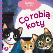 Co robią koty - Renata Opala