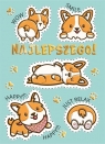 Karnet B6 Corgiowy