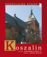 Welterbe Der Menschheit Polen auf der Liste der UNESCO Czyżewski Krzysztof