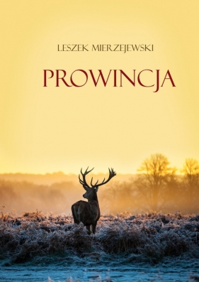 Prowincja - Mierzejewski Leszek