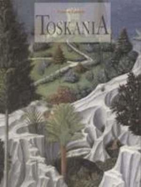 Toskania (Uszkodzona okładka) - Cardini Franco