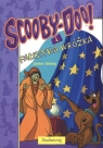 Scooby-Doo! i Fałszywa Wróżka