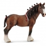  Wałach rasy Clydesdale (SLH-13808)od 3 lat