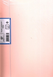 Teczka z gumką A4 Pastel 10 sztuk mix