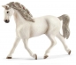 Schleich Horse Club, Klacz rasy hosztyńskiej (13858)