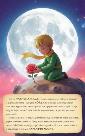 Rozkładanka. Mały Książę - Paulina Płatkowska