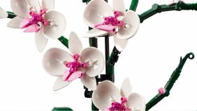 Lego Icons 10311, Orchidea