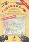 Europa środkowa i wschodnia  Przewodnik po Europie  Orłowicz Mieczysław