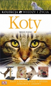 Koty