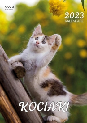 Kalendarz 2023 ścienny Kociaki