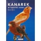 Kanarek w naszym domu - Beata Kisiel