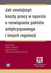 Jak zmniejszyć koszty pracy w oparciu o rozwiązania pakietu antykryzysowego i innych regulacji