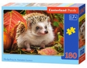 Puzzle 180: Hedgehog in Autumn Leaves (B-018338)