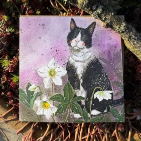 Karnet Kot i ciemierniki