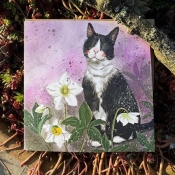 Karnet Kot i ciemierniki