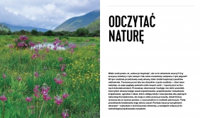 Projektowanie ogrodów naturalistycznych. Podstawowe zasady - Nigel Dunnett