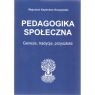 Pedagogika społeczna Genaza, tradycja, nowoczesność Sroczyński Wojciech Kazimierz