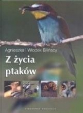 Z życia ptaków - Bilińska Agnieszka, Biliński Włodek