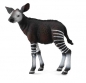 Okapi cielę M