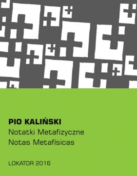 Notatki metafizyczne - Piotr „Pio” Kaliński