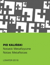 Notatki metafizyczne - Kaliński Pio
