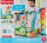 Fisher-Price Aktywizujący Żółw Chodzik-Pchacz 2w1