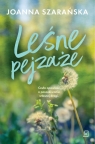 Leśne pejzaże