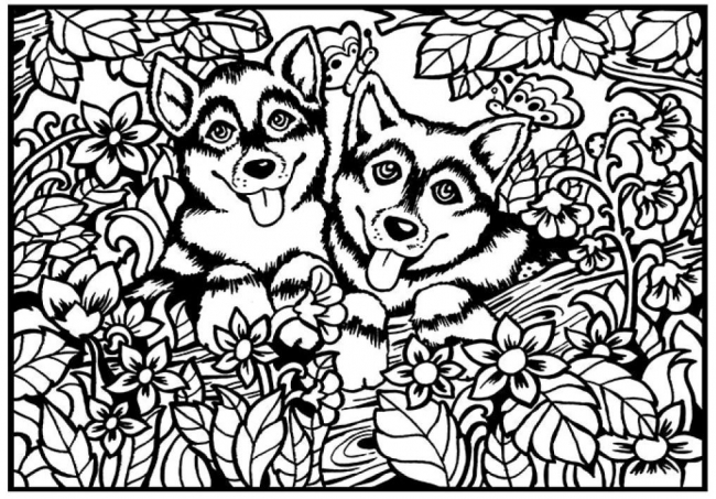 <img src='https://webimage.pl/pics/340/2/d8024238222340.jpg'>