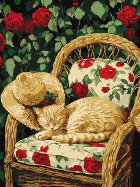 Malowanie po numerach - Kot w ogrodzie 30x40cm