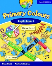 Primary Colours 1 PB - Diana Hicks