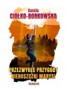 Przezwykłe przygody nieboszczki Marysi Kamila Ciołko-Borkowska