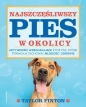Najszczęśliwszy pies w okolicy - Finton Taylor