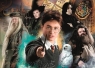  Puzzle 500 Compact Harry Potter