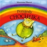 Przygody chochlika