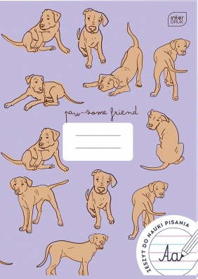 Zeszyt do nauki pisania PP A4/32k trzy linie - Magic