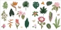 Książka z naklejkami - Botanical