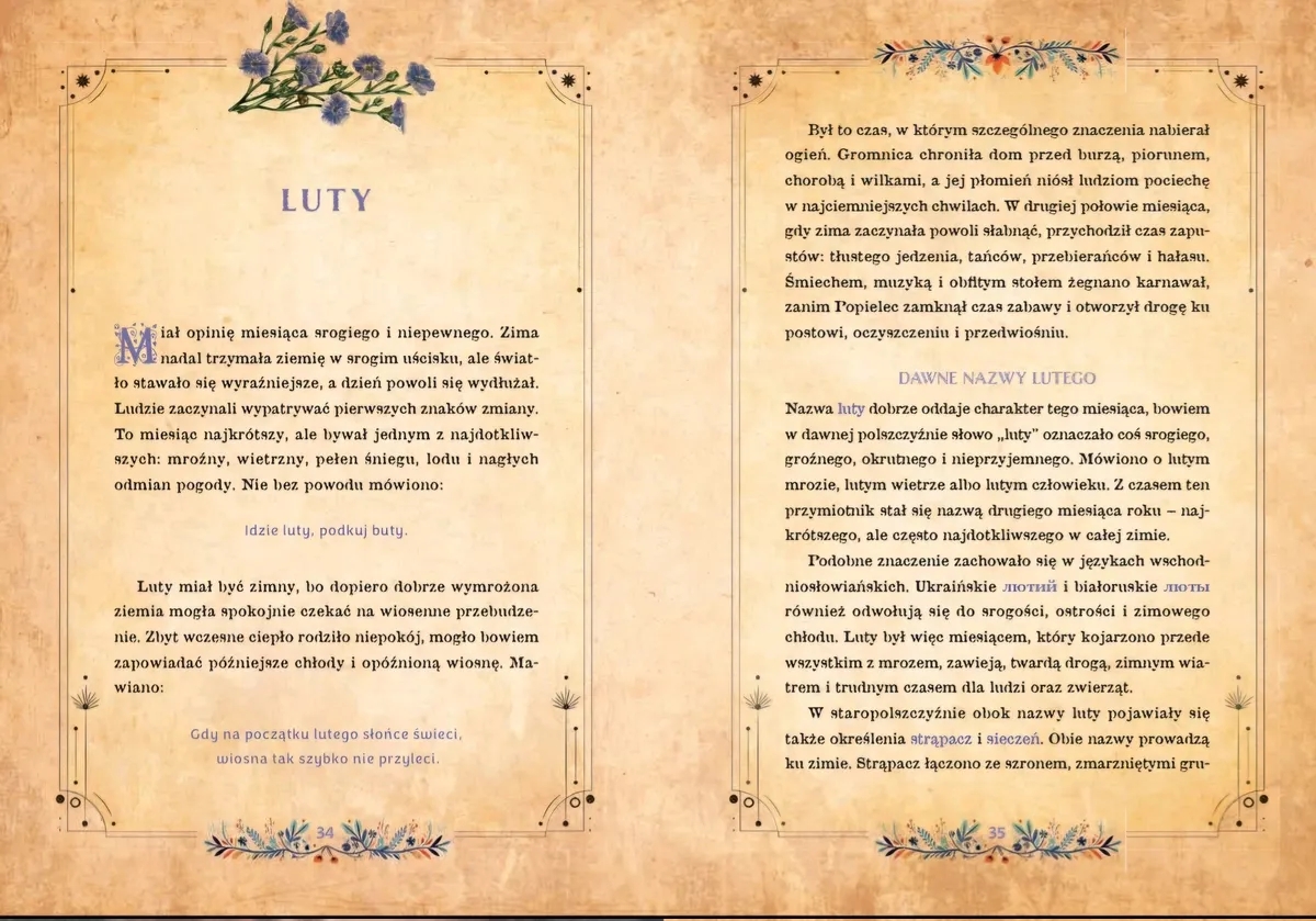 <img src='https://webimage.pl/pics/342/1/d9788368921342-3.png'>