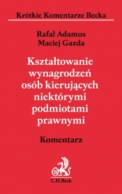 Kształtowanie wynagrodzeń osób kierujących niektórymi podmiotami prawnymi. Komentarz