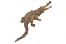  Dinozaur sarcosuch XL (88334)