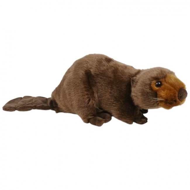 Bóbr 26cm