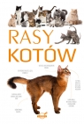 Rasy kotów