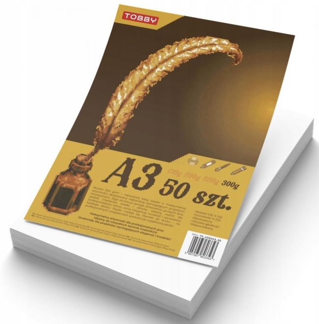 <img src='https://webimage.pl/pics/343/3/d5907587803343.jpg' style='height:440px' /> Brystol A3 300g 100 ark