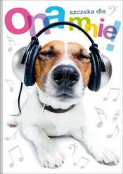 Brulion A4 FUN PETZ 96 k. kratka