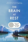 The Brain at Rest wer. angielska Joseph Jebelli