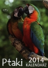 Kalendarz 2014 Ptaki