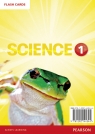 Big Science 1 Flashcards