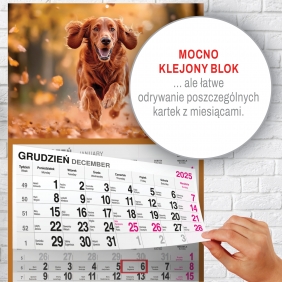 Kalendarz trójdzielny mały - Pies