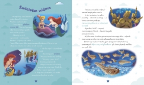 Historyjki na 3 minuty przed snem. Disney Księżniczka - Emmanuelle Caussé